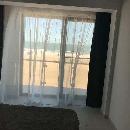 Apartament Desilava * Palazu Mare