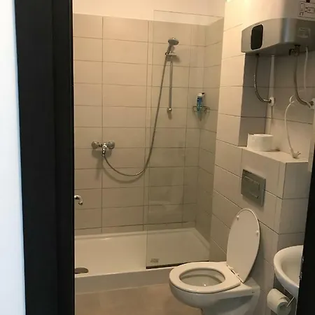 公寓 Apartament Desilava Palazu Mare