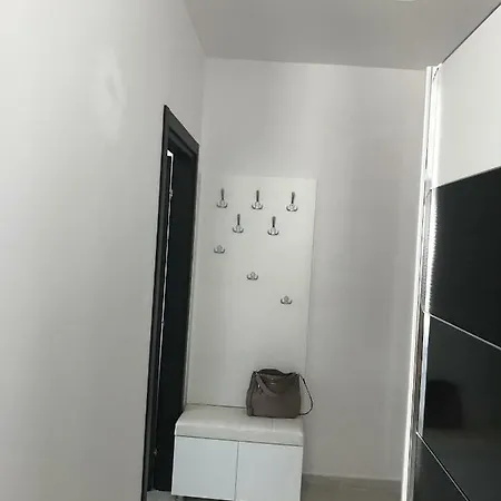 Apartament Desilava * Palazu Mare
