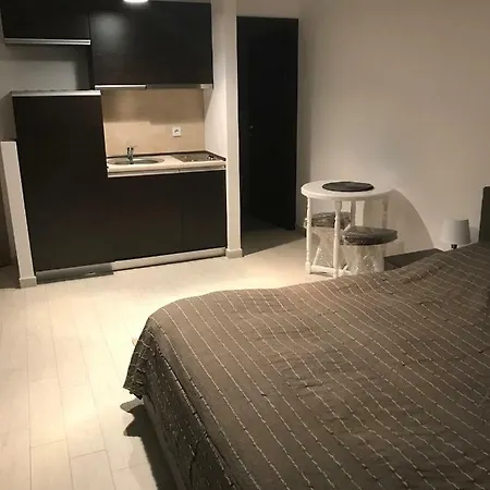 公寓 Apartament Desilava